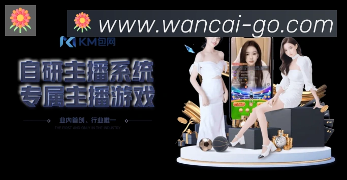 企业概况